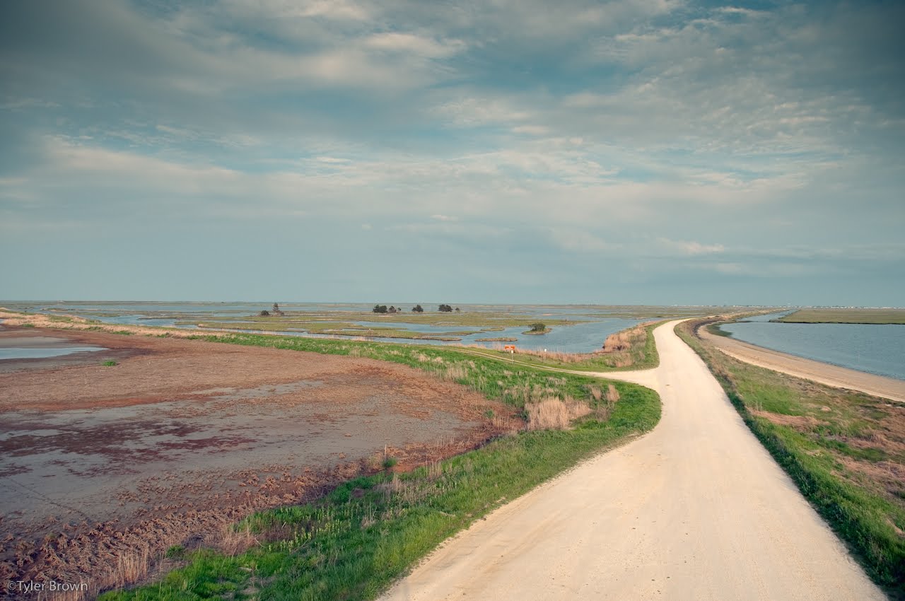 Catamount Imaging May 2010