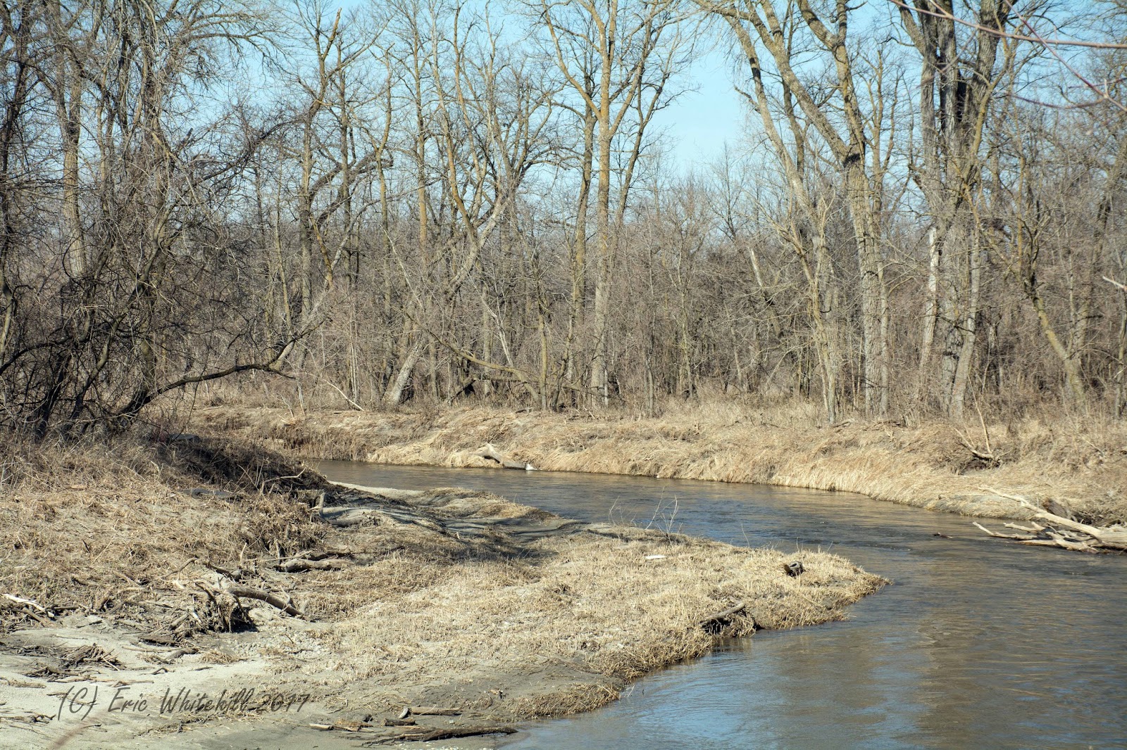Eric's Crunchy Chase Logs A relaxing day in Buffalo River State Park