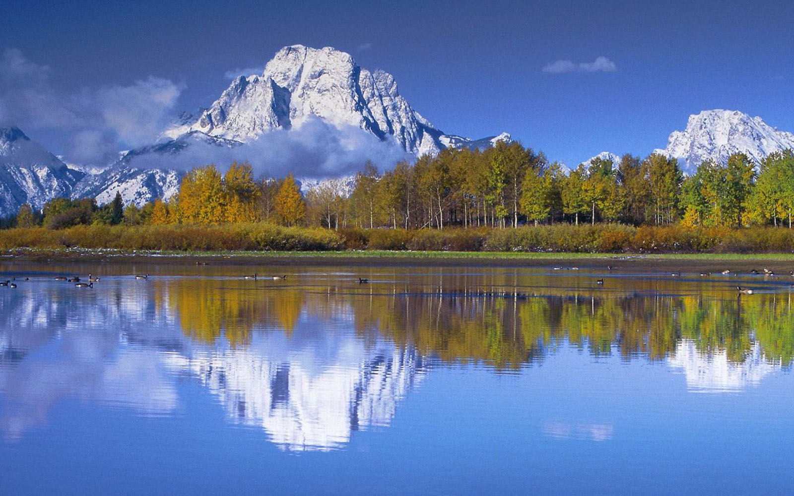 wallpapers Snake River in Grand Teton National Park Wallpapers