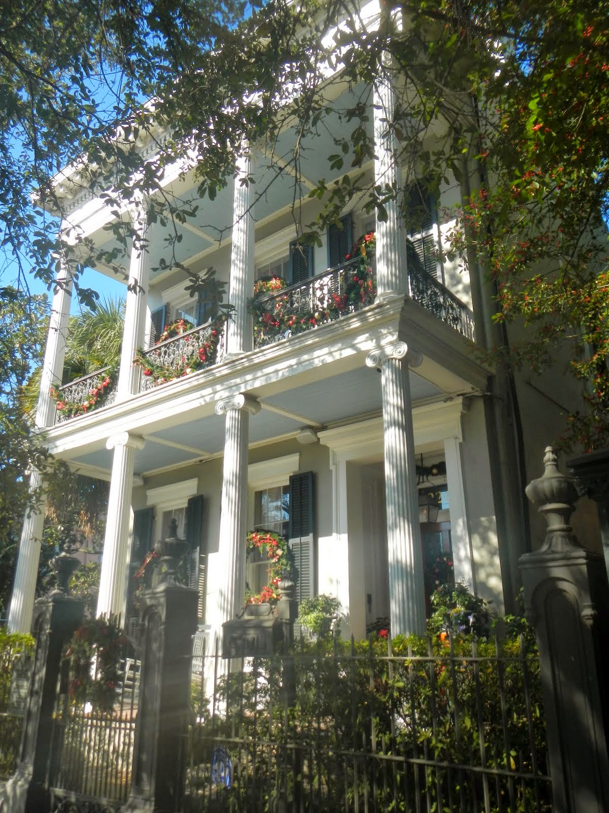 Big Daddy Dave A Walk Through New Orleans' Garden District