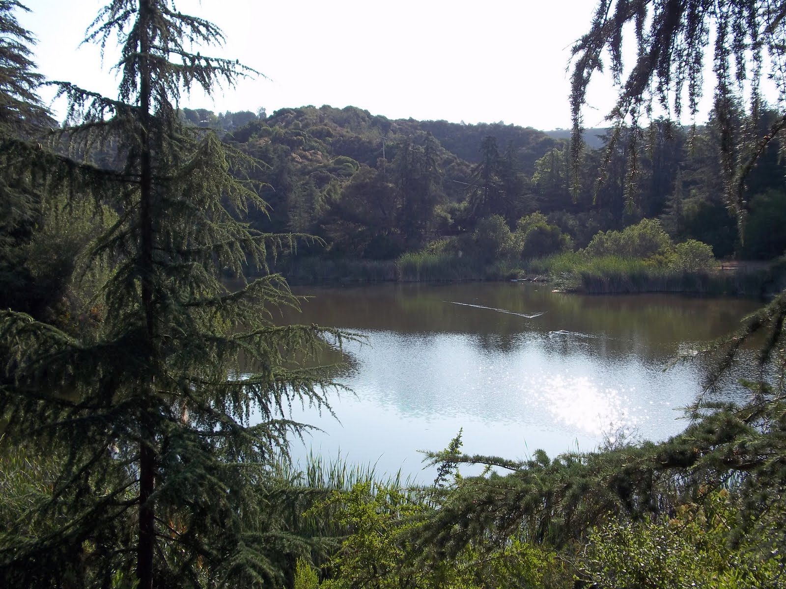 Big City Sustainability Franklin Canyon Park in Beverly Hills CA.