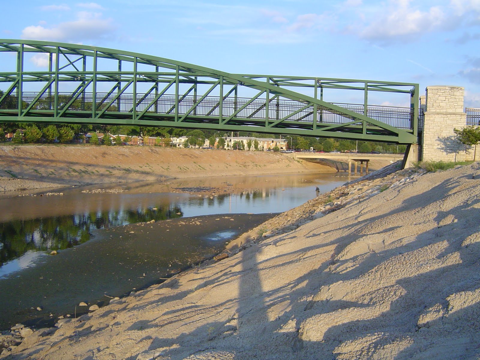 Ichthyomania Brownlining in the River des Peres