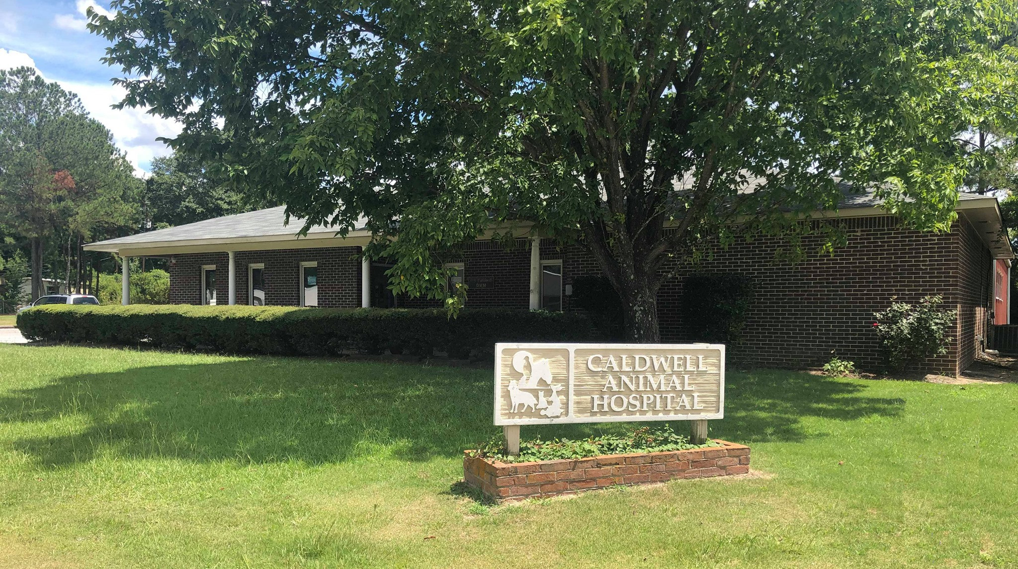 garden city park animal hospital doctors Cured Journal Gallery Of Photos