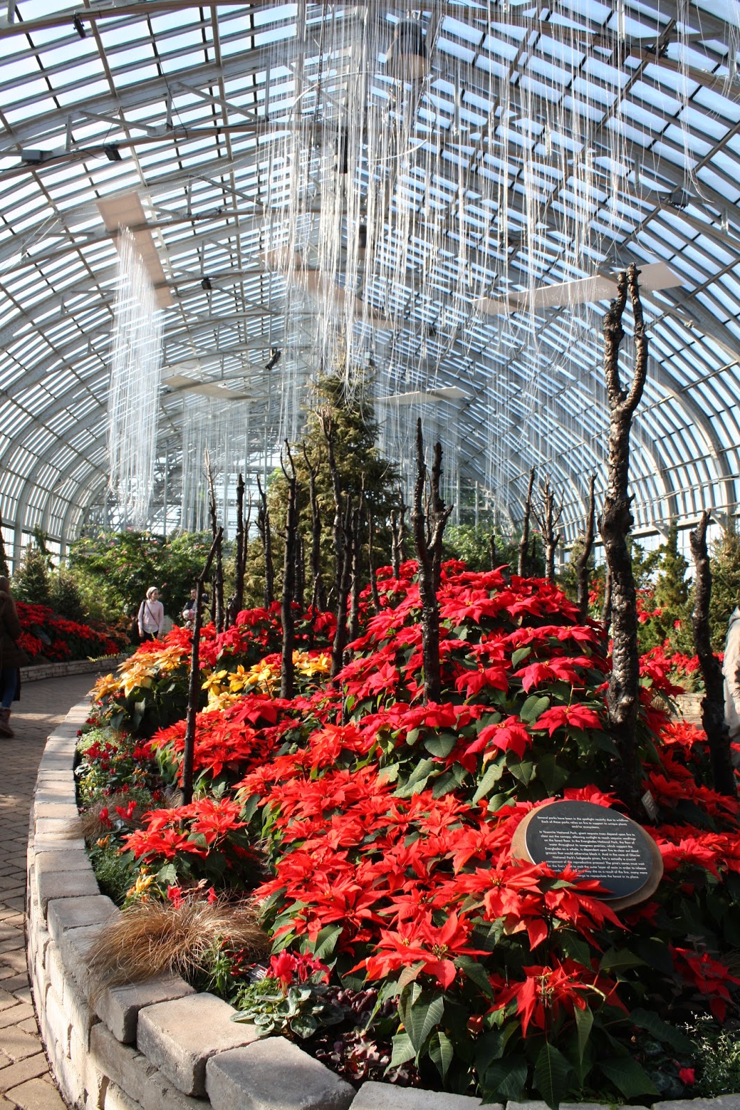 A Little Time and a Keyboard Garfield Park Conservatory in Winter